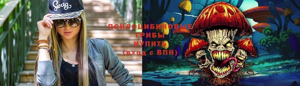 не бодяженный Аркадак
