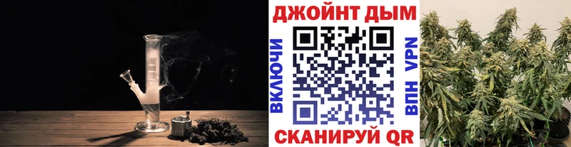 Каннабис планчик  Дно 